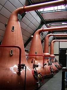 Stills