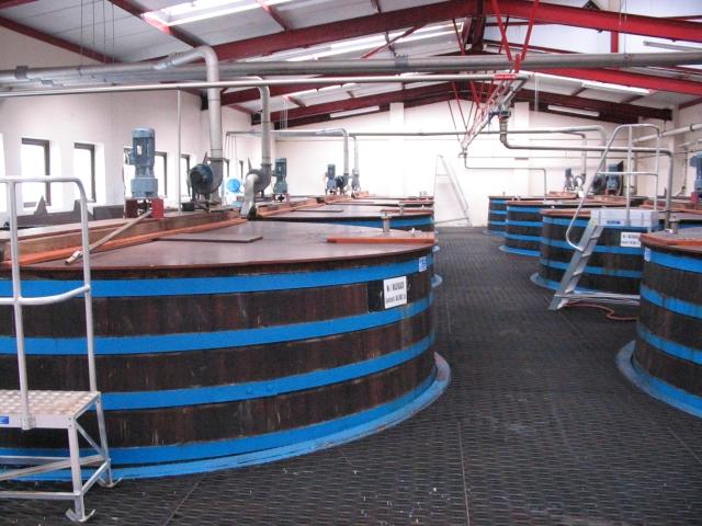 Washback der Glendullan Distillery während der Fermentation